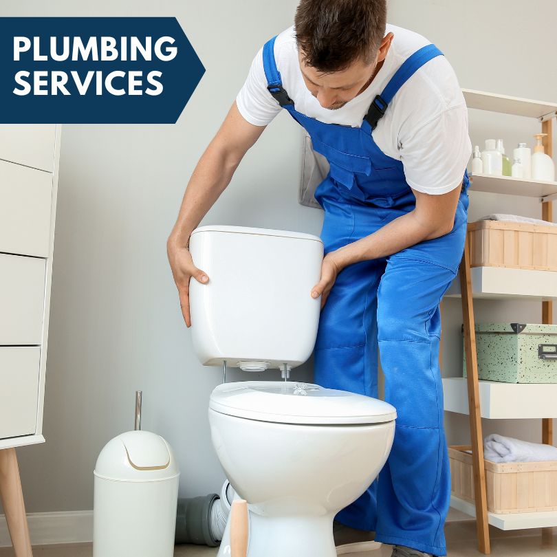 Plumbing Company in Irons, MI